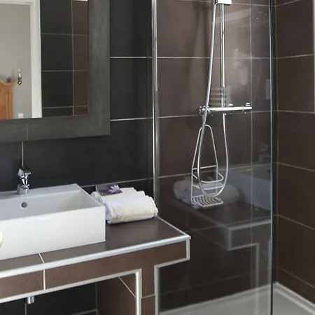Hotel Des Citronniers 3*