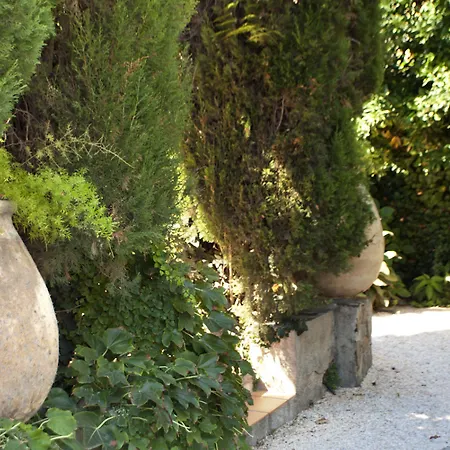 Des Citronniers Hotel 3*