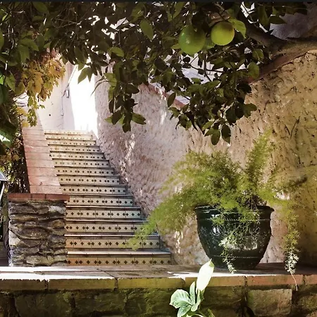 Hotel Des Citronniers Collioure
